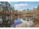 Scenic view of the calm lake surrounded by trees, offering a tranquil and picturesque setting at 4211 Burnt Hickory Nw Rd, Marietta, GA 30064
