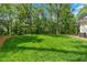 Expansive green backyard surrounded by mature trees offering privacy and serenity at 11 Headden Nw Rdg, Cartersville, GA 30121