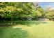 Expansive green backyard with mature trees offering shade and privacy, perfect for outdoor enjoyment at 3407 Larch Pine Dr, Duluth, GA 30096