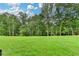 Lush green backyard with tall trees, creating a serene and private outdoor space at 165 Westbrook St, Buford, GA 30518