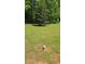 Expansive backyard featuring a lush green lawn and mature trees at 65 King James Se Ct, Conyers, GA 30013