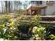 Beautiful backyard landscaping featuring vibrant flowers and a stone retaining wall and patio under the elevated back porch at 3572 Dexter Way, Marietta, GA 30062