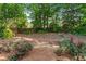Beautiful backyard featuring green trees and landscaping at 1775 Potomac Ct, Lawrenceville, GA 30043