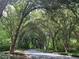 Tree-lined street creates a picturesque canopy, enhancing the natural beauty of the community and adding to its allure at 3389 Robinson Farms Ne Trce, Marietta, GA 30068