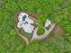 Aerial view of the home with lush surrounding trees at 8901 Watkins Mill Rd, Winston, GA 30187