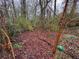 Backyard landscape shot showing bare trees and fallen leaves at 2234 Glendale Dr, Decatur, GA 30032