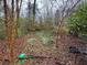 Overgrown backyard with leaves on the ground at 2234 Glendale Dr, Decatur, GA 30032