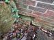 Exterior foundation shot showing the brick foundation and foliage at 2234 Glendale Dr, Decatur, GA 30032