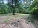 Expansive wooded backyard, great for nature lovers and outdoor activities at 2184 River Acres Ct, Lithonia, GA 30058