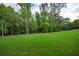 Large, grassy backyard with mature trees and plenty of space for recreation at 100 Ashley Hall Ct, Woodstock, GA 30188