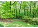 Lush backyard with mature trees and green space offers a serene outdoor retreat at 4953 Mcpherson Ne Dr, Roswell, GA 30075