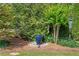Landscaped side yard featuring a water fountain surrounded by shrubbery and landscaping at 6575 Eli Davis Rd, Cumming, GA 30040