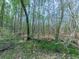 Wooded lot with mature trees at 4445 Moon Station Nw Ln, Acworth, GA 30101