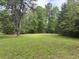 Picturesque view of a lush green yard surrounded by trees at 2256 Mack Rd, Douglasville, GA 30135