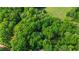 An aerial view of a hidden house surrounded by dense, mature trees on all sides at 4250 Deerfield Rd, Cumming, GA 30028