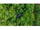 Aerial view of a wooded property, showcasing lush, green trees surrounding the building at 4250 Deerfield Rd, Cumming, GA 30028
