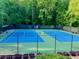 Aerial view of blue tennis courts surrounded by tall trees within the Wyngate community at 2002 Fairbrook Ln, Woodstock, GA 30189