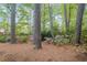 Serene backyard with mature trees and azaleas, offering a private and peaceful outdoor retreat at 3358 Stovehill Se Ct, Marietta, GA 30067