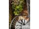 Outdoor spiral staircase leading up from a charming garden area with lush greenery and privacy fencing at 492 Clifton Ne Rd, Atlanta, GA 30307