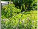 Lush, mature landscaping with tall yellow flowers and manicured lawns at 1652 Oak Grove Rd, Decatur, GA 30033