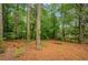A wooded backyard with tall trees and lush foliage and a sloped hill at 4788 Rock Island Nw Ln, Acworth, GA 30102
