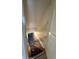 View of a carpeted stairwell leading to a basement area at 905 Park Ne Pl, Conyers, GA 30012