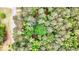 An aerial view of a tree-covered lot with a home nestled among the trees shows the property's privacy at 110 The Farm Rd, Mcdonough, GA 30252