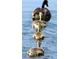 Charming geese swimming in community pond, showcasing the natural beauty and wildlife of the property at 4807 Kenilworth Dr, Stone Mountain, GA 30083