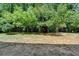 Wide backyard with healthy lawn shaded by tall trees at 5400 Roswell Rd # N1, Sandy Springs, GA 30342