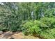 Lush green backyard surrounded by mature trees, offering privacy and shade at 5400 Roswell Rd # N1, Sandy Springs, GA 30342