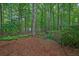 Backyard with mature trees and natural landscaping, providing privacy and a serene setting at 842 Laurel Crest Sw Ct, Marietta, GA 30064