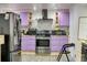 Contemporary kitchen featuring stainless steel appliances, purple cabinets, and modern backsplash at 2621 Manor Pl, Ellenwood, GA 30294