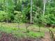 Wooded backyard featuring a grassy lawn and steps leading from the deck above at 1345 Starboard Way, Cumming, GA 30041