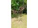 A newly planted tree with vibrant leaves stands prominently in the yard at 2477 Briar Valley Way, Dacula, GA 30019