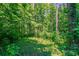 Green backyard featuring a grassy area surrounded by trees, providing a serene outdoor space at 1076 Plantation Se Blvd, Conyers, GA 30094