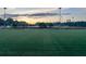 Well-maintained soccer field with stadium lights at dawn, great for sports at 4790 Epps Ln, Cumming, GA 30040