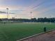 Well-maintained soccer field with lush green turf and stadium lights for evening games and community enjoyment at 4790 Epps Ln, Cumming, GA 30040