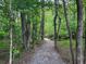 Gravel trail through a wooded area with a wooden bridge at 4790 Epps Ln, Cumming, GA 30040