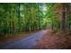 Long winding driveway leading to secluded home through a heavily wooded area at 6980 Lamplighter Ln, Winston, GA 30187