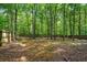 Wide view of the private, wooded backyard at 193 Cedar Creek Dr, Dallas, GA 30157