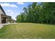 Large backyard with lush grass and privacy trees perfect for and pets at 317 Basel Way, Hampton, GA 30228
