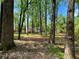 Secluded backyard with mature trees and lush greenery, providing a peaceful retreat at 7160 Royston Way, Cumming, GA 30028