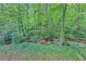 Picturesque backyard view of a creek surrounded by lush greenery and tall trees at 563 Navarre Dr, Stone Mountain, GA 30087