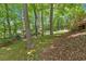 A lush and shady backyard filled with mature trees and green ground cover at 4181 Singing Post Ne Ln, Roswell, GA 30075