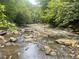 A beautiful rocky creek flows through a lush green forest, offering a serene and natural setting at 3863 Streamside Se Dr, Marietta, GA 30067