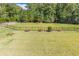 Large, lush backyard is enclosed by a sleek black fence offering privacy at 270 Annelise Park Dr, Fayetteville, GA 30214