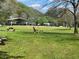 Scenic park view with a picnic table and a large grassy area, perfect for outdoor activities at 605 Ga 120 Hwy, Roswell, GA 30075