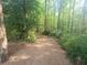 Scenic wooded walking path on the property at 605 Ga 120 Hwy, Roswell, GA 30075
