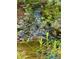 Backyard waterfall with natural stone and lush landscaped plantings at 605 Ga 120 Hwy, Roswell, GA 30075