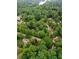 Aerial view of neighborhood homes surrounded by trees, showcasing the community's layout at 2865 Chattahoochee Rd, Cumming, GA 30041